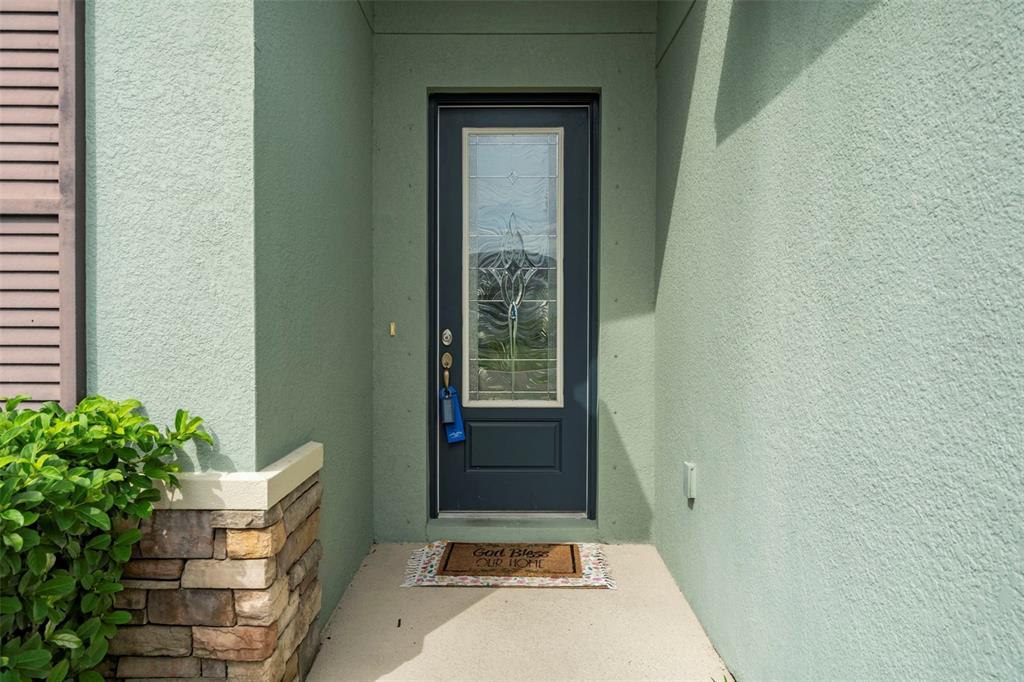 A dark gray front door with a glass insert sits in a light green entryway — 1569 N RIVER CIRCLE, TARPON SPRINGS, FL