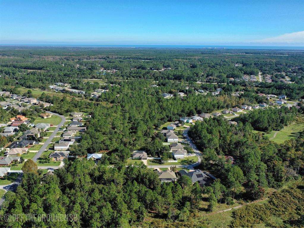 An aerial view shows a residential neighborhood surrounded by dense forest and distant coastal waters — 37 LEIGHTON LANE, PALM COAST, FL