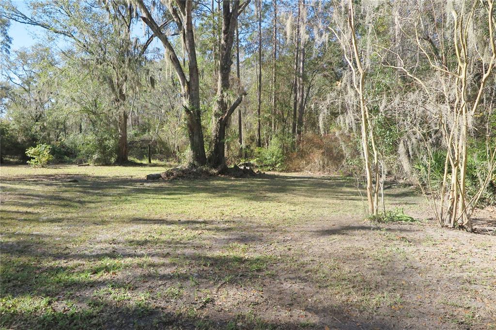 A grassy clearing is surrounded by tall trees draped with Spanish moss — 8760 COUNTY ROAD 127, SANDERSON, FL