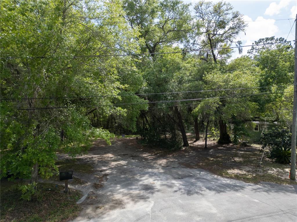 A paved driveway leads into a wooded lot with mature trees and a mailbox — E HUBBARD AVENUE, DELAND, FL