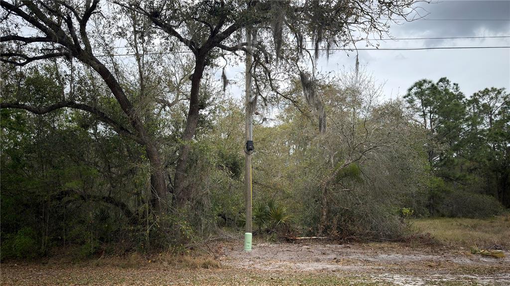 A utility pole stands in a wooded area with a green electrical box at its base — 336 PERSHING AVENUE, LAKE PLACID, FL