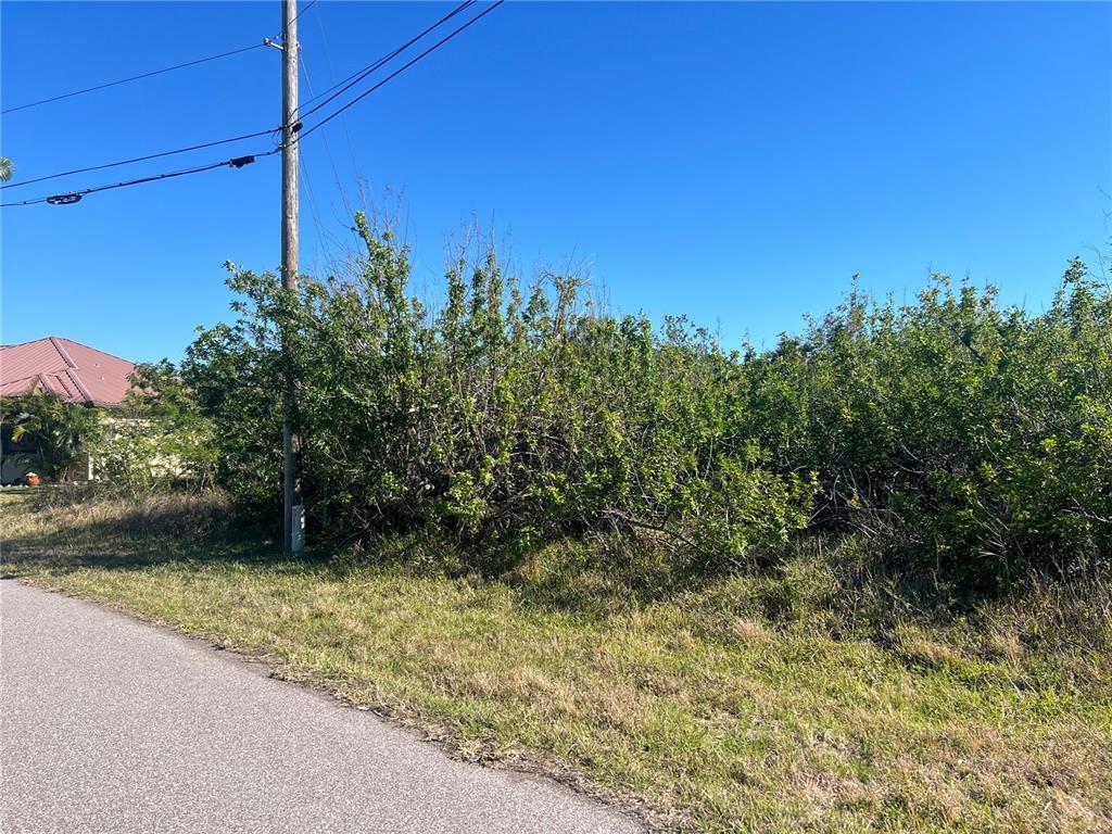 A utility pole stands beside a dense, overgrown thicket of green shrubs along a paved road — 14464 EDNA CIR, PORT CHARLOTTE, FL