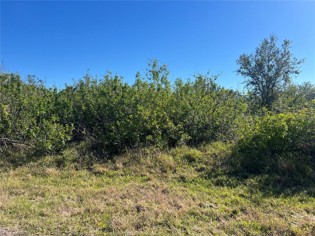 A grassy field leads to a dense thicket of green shrubs and trees under blue sky — 14464 EDNA CIR, PORT CHARLOTTE, FL