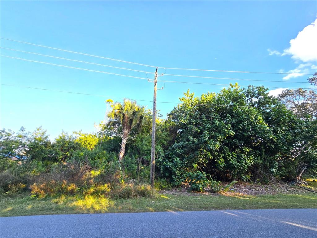 A utility pole stands in front of dense trees and vegetation along a paved road — 1667 RED BUD CIRCLE NW, PALM BAY, FL