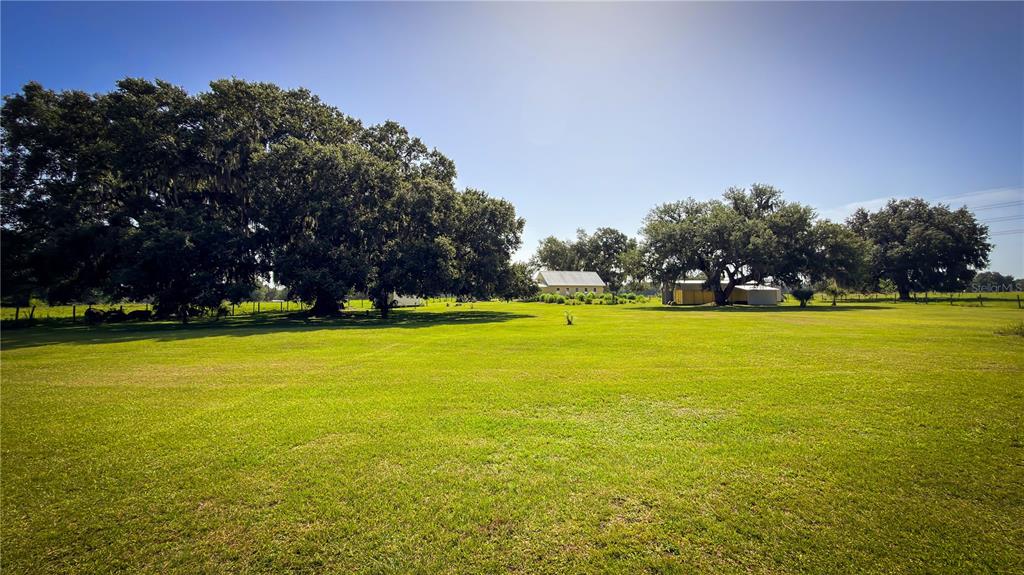 A large, grassy field features several mature oak trees and a small building in the distance — 7820 SW 32ND STREET, BUSHNELL, FL