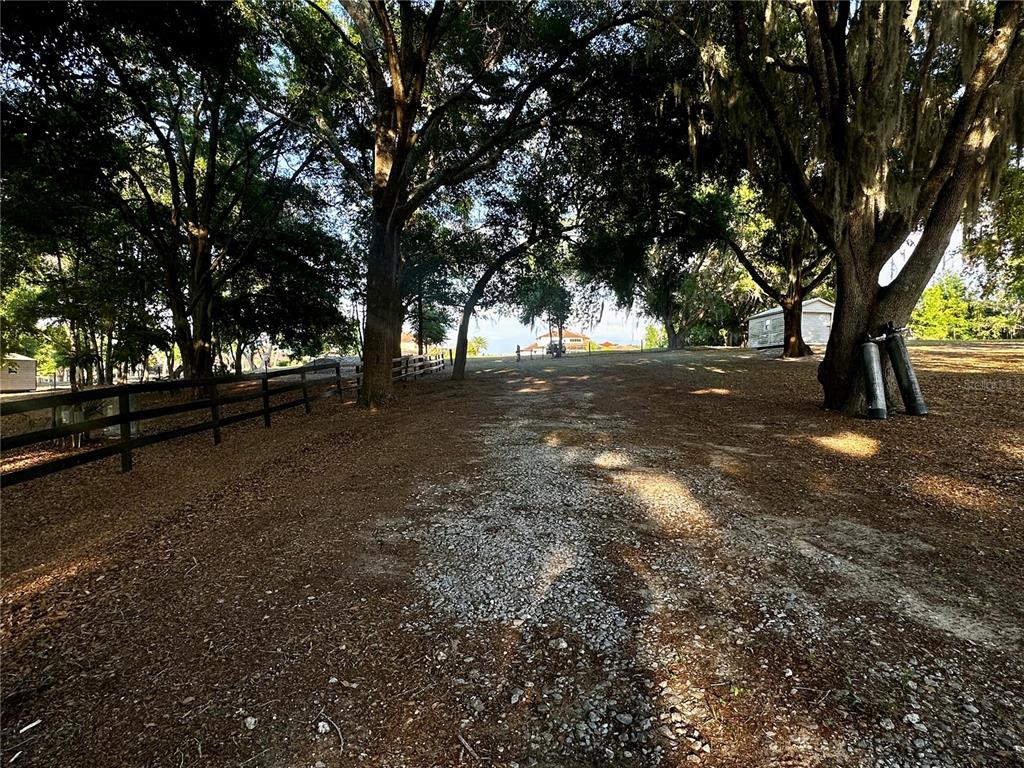 A gravel driveway leads through a shaded, tree-lined yard toward a distant house — 0 TOMATO HILL ROAD, LEESBURG, FL