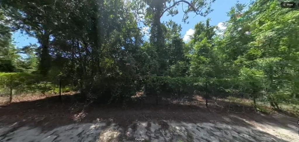 FORGE DRIVE, SPRING HILL, FL — photo 3 of 3