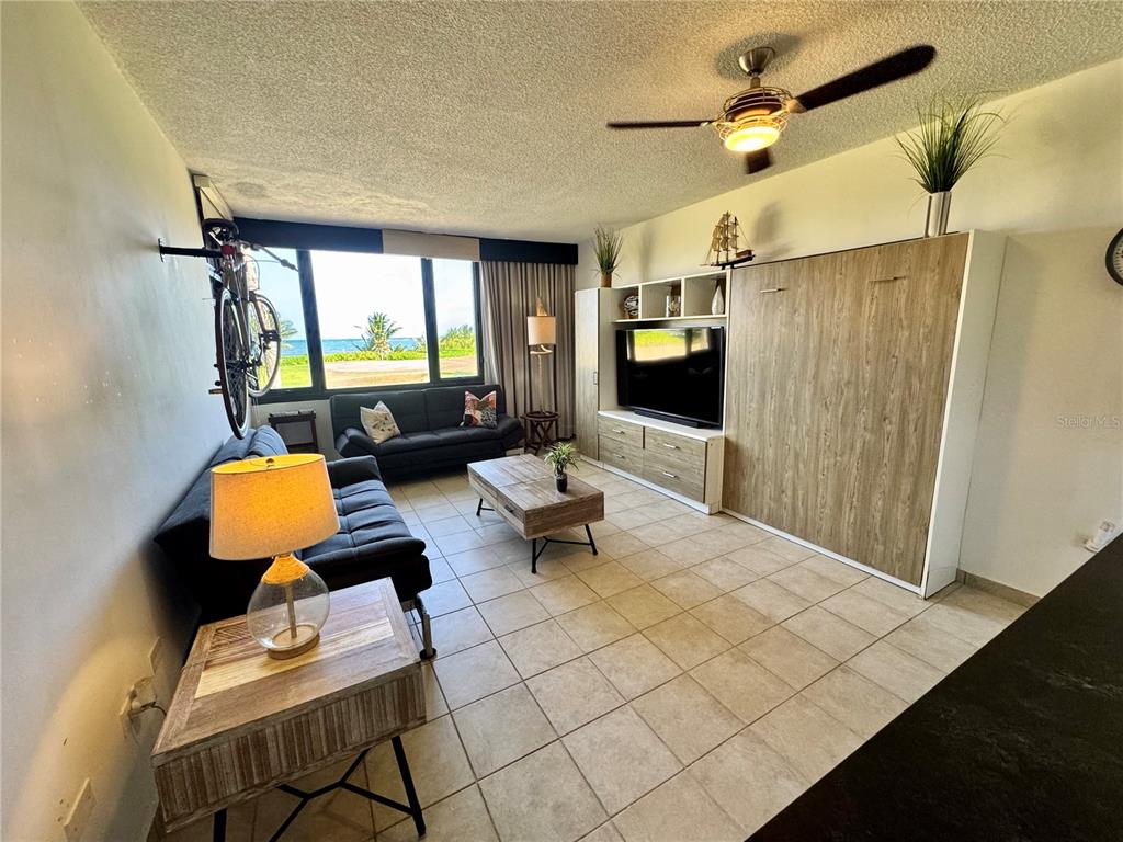 A living room features a wall-mounted bicycle, a sofa, a coffee table, and a Murphy bed — 222 BEACH VILLAGE UNIT 222, HUMACAO, PR