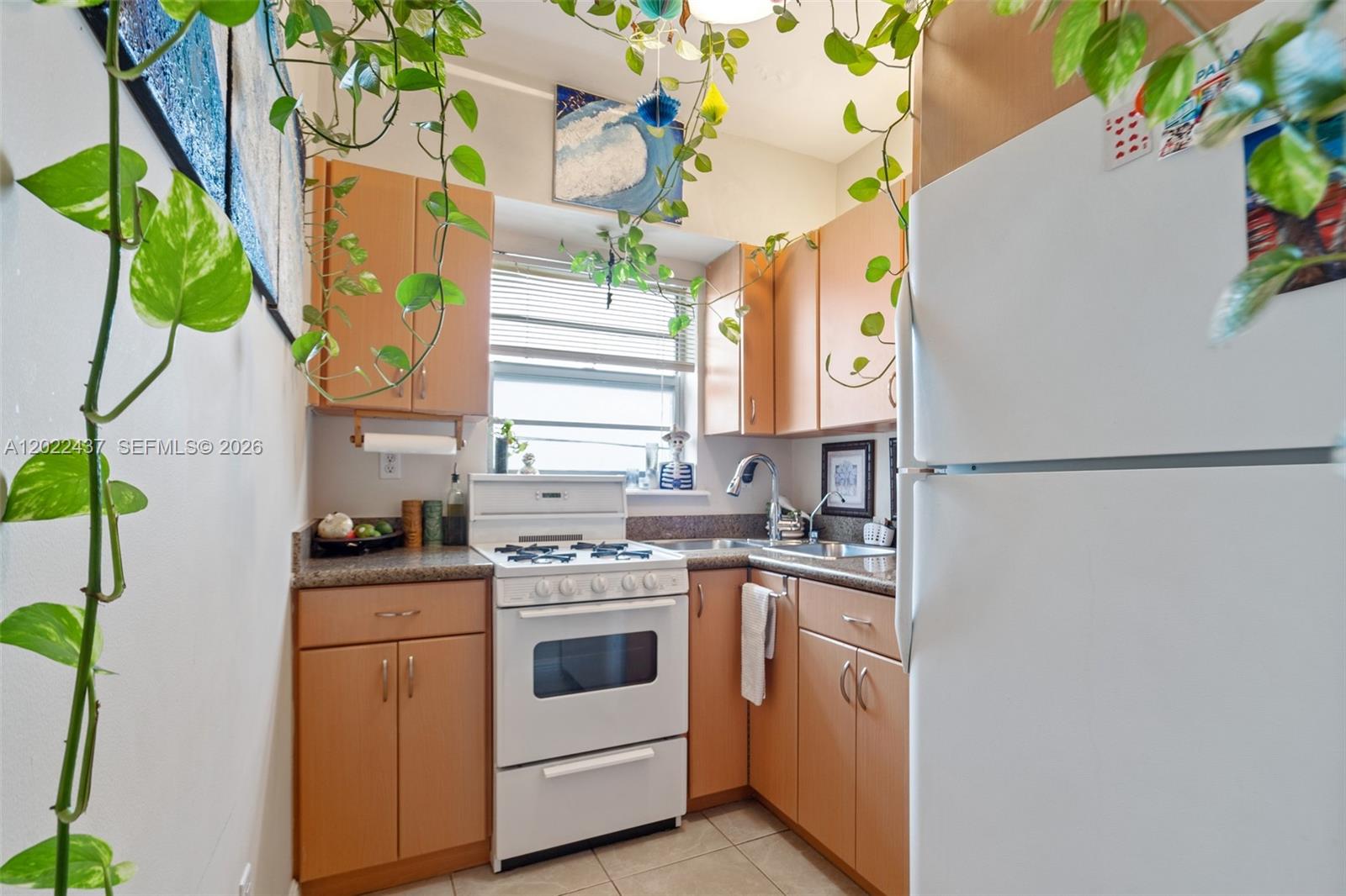 A small kitchen features light wood cabinets, a white stove, and hanging green plants — 936 Pennsylvania Ave # 205, Miami Beach FL 33139, MIAMI BEACH, FL