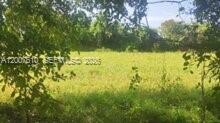 A view of a flat, grassy, undeveloped plot of land surrounded by trees — Zona Sur, Carretera del Litoral, Cangrejera, FL