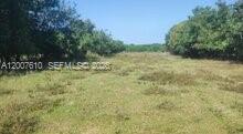 A grassy, open field is bordered by dense trees on both sides under a clear sky — Zona Sur, Carretera del Litoral, Cangrejera, FL