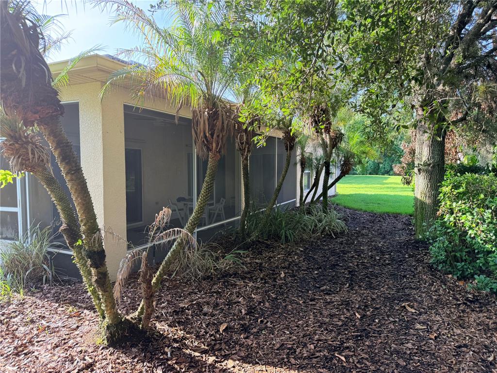 A screened-in patio sits beside a row of palm trees and a grassy backyard — 941 SHOREHAVEN DRIVE, KISSIMMEE, FL