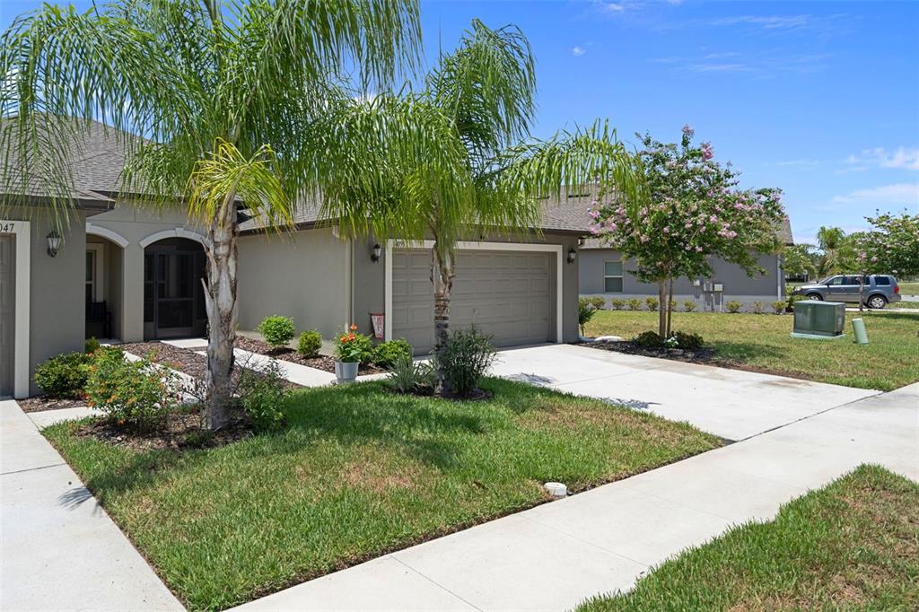The exterior of a single-story house features a concrete driveway, palm trees, and landscaping — 14055 WEDDINGTON TERRACE, HUDSON, FL