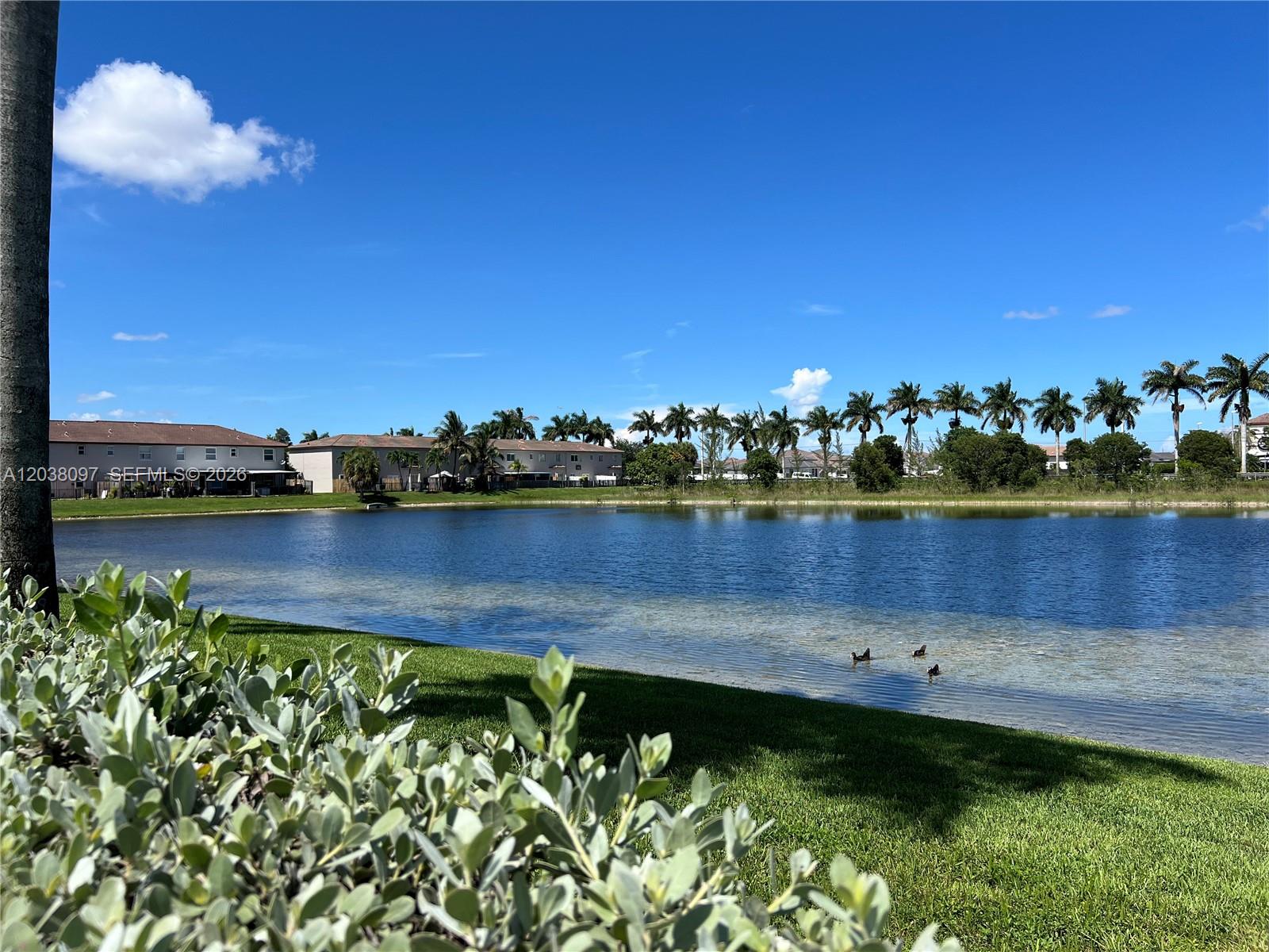 A grassy lawn overlooks a lake with ducks and a row of palm trees — 2555 SW 147th Path # 2555, Miami FL 33185, MIAMI, FL
