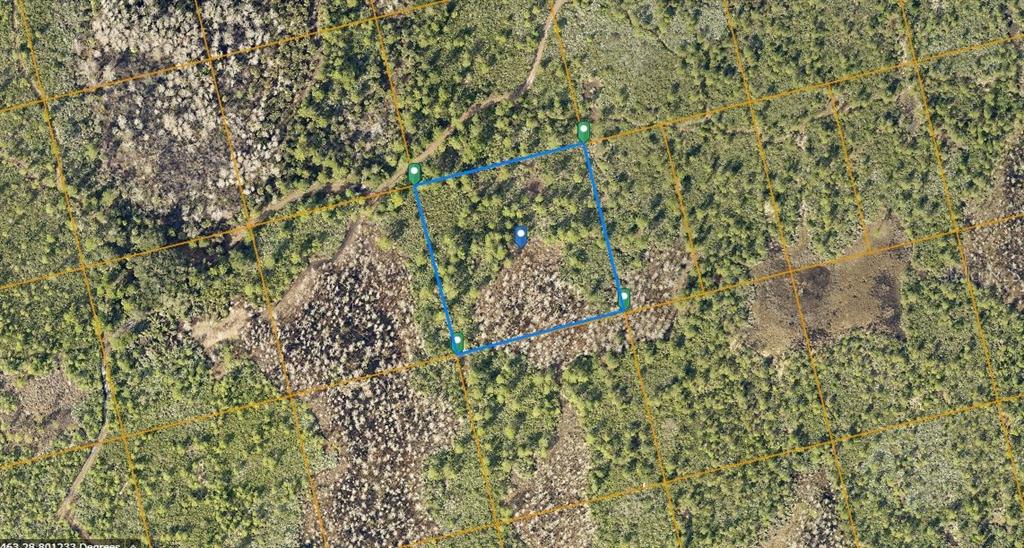 COUNTY LINE DITCH RD, OAK HILL,, FL — photo 2 of 3