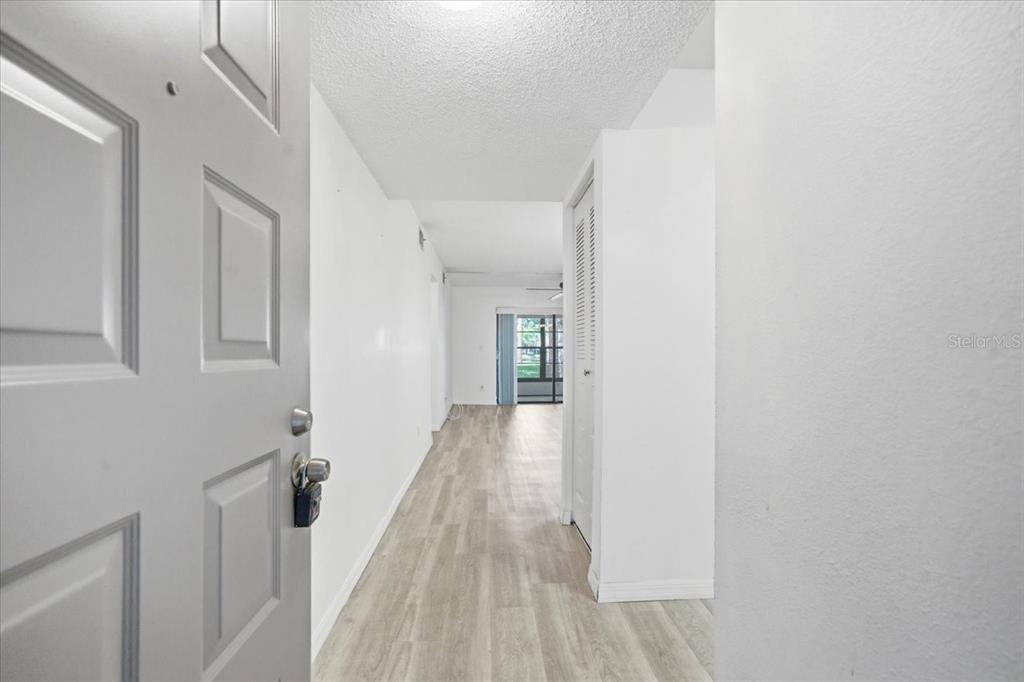 An entryway leads into a living area with light wood-look flooring and white walls — 3399 MERMOOR DRIVE UNIT 101, PALM HARBOR, FL