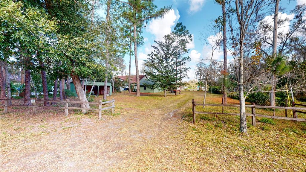 A dirt driveway leads through a wooden fence toward a house surrounded by tall trees — 19803 READING ROAD, LUTZ, FL