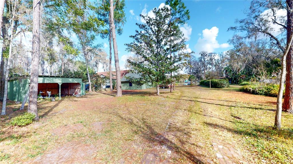 A grassy yard features a green shed and several tall trees under a blue sky — 19803 READING ROAD, LUTZ, FL