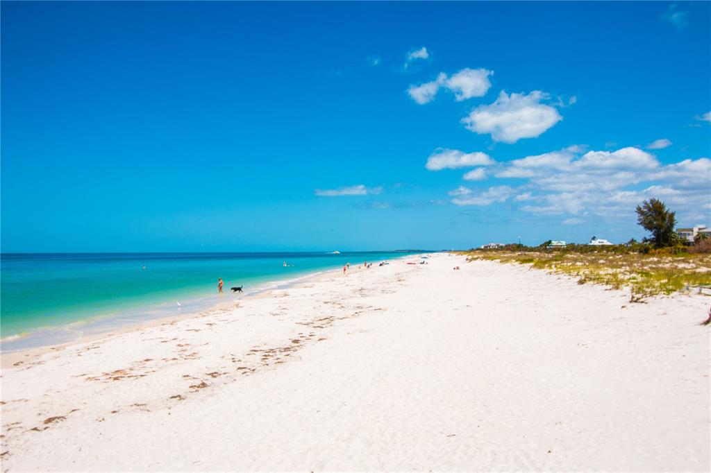 A wide, sandy beach stretches along the turquoise ocean under a bright blue sky — 880 MANDALAY AVENUE UNIT N412, CLEARWATER, FL