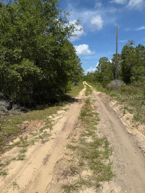 A dirt path leads through a wooded area under a blue sky — 113 S DAKOTA STREET, HAWTHORNE, FL