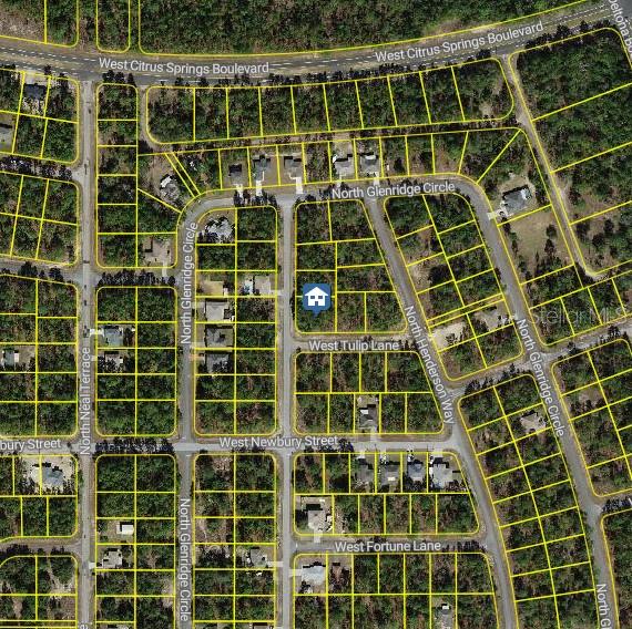 This is an aerial map showing a residential lot highlighted with a house icon — 647 W TULIP LANE, CITRUS SPRINGS, FL