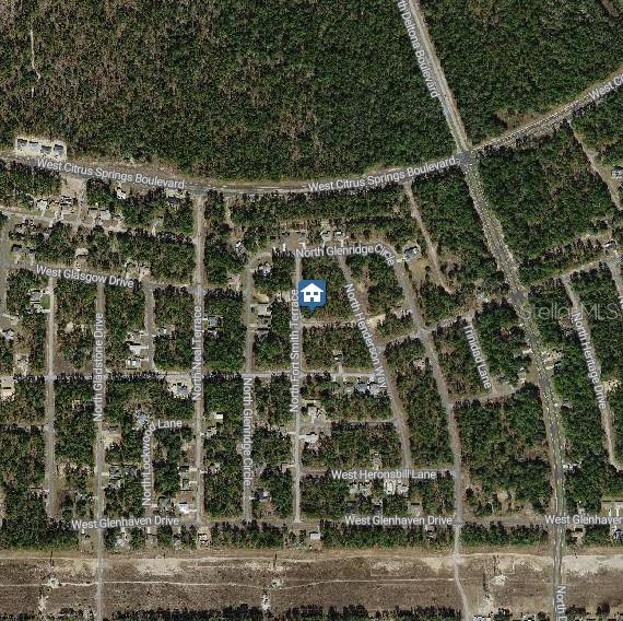 This is an aerial map showing a residential property location marked with a house icon — 647 W TULIP LANE, CITRUS SPRINGS, FL