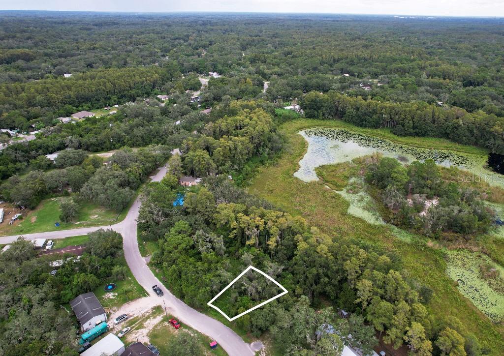 An aerial view shows a wooded, rectangular lot outlined in white next to a pond — 36 POPLAR STREET, NEW PORT RICHEY, FL