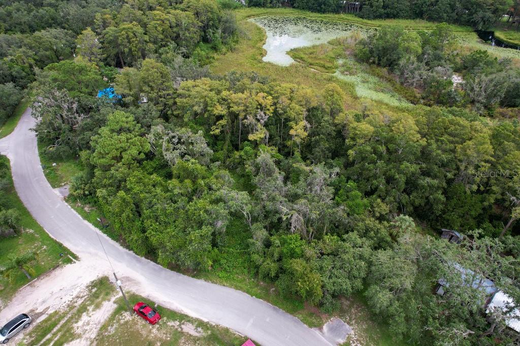 An aerial view shows a wooded lot bordering a pond and a paved road — 36 POPLAR STREET, NEW PORT RICHEY, FL