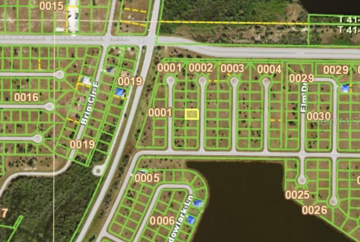 This is a satellite map view showing a vacant residential lot highlighted in yellow — 7 BIRCH COURT, PLACIDA, FL