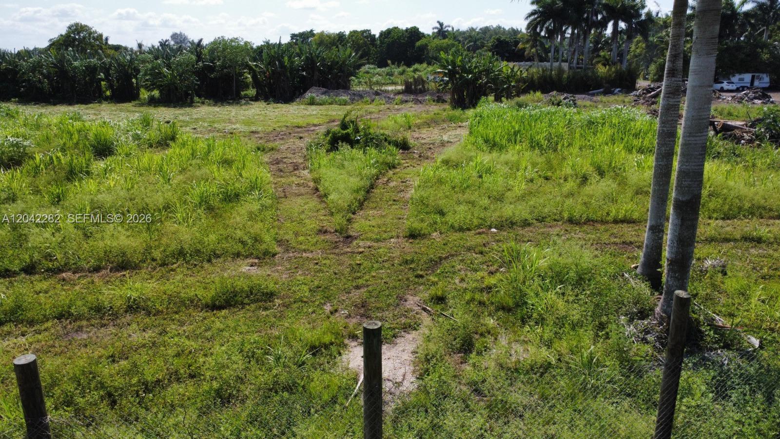 An elevated view of a grassy, undeveloped lot with tire tracks and palm trees — 168 St, Miami FL 33187, MIAMI, FL