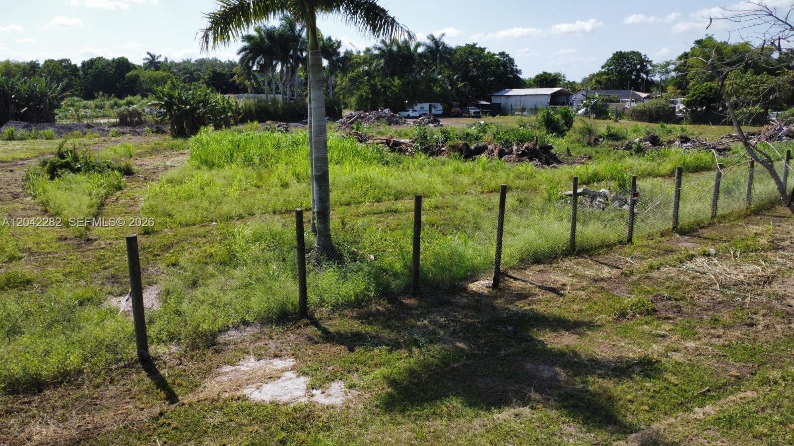 A fenced, grassy vacant lot features a palm tree and distant structures under a blue sky — 168 St, Miami FL 33187, MIAMI, FL