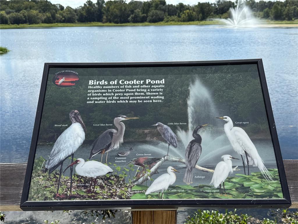 An informational sign about local birds stands in front of a pond with a fountain — 326 W HOMEWAY LOOP, CITRUS SPRINGS, FL