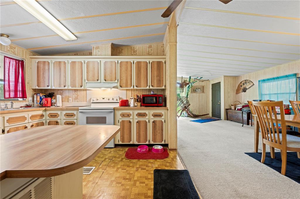 A kitchen with wood-paneled cabinets and a dining area with carpeted floors and a dinosaur skeleton — 7373 FALL STREET, BROOKSVILLE, FL