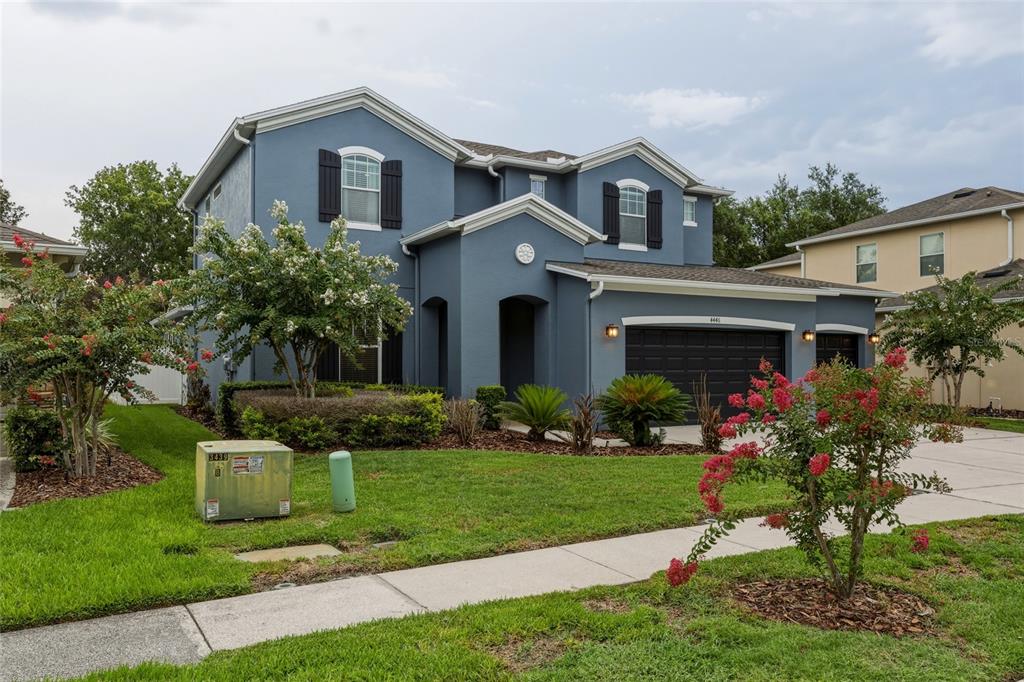 A two-story blue house with a three-car garage and a landscaped front yard — 4446 WILDSTAR CIRCLE, WESLEY CHAPEL, FL