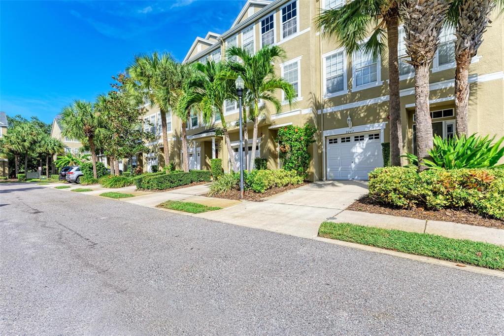A row of three-story townhomes with garages, palm trees, and landscaped front yards — 3047 POINTEVIEW DRIVE, TAMPA, FL