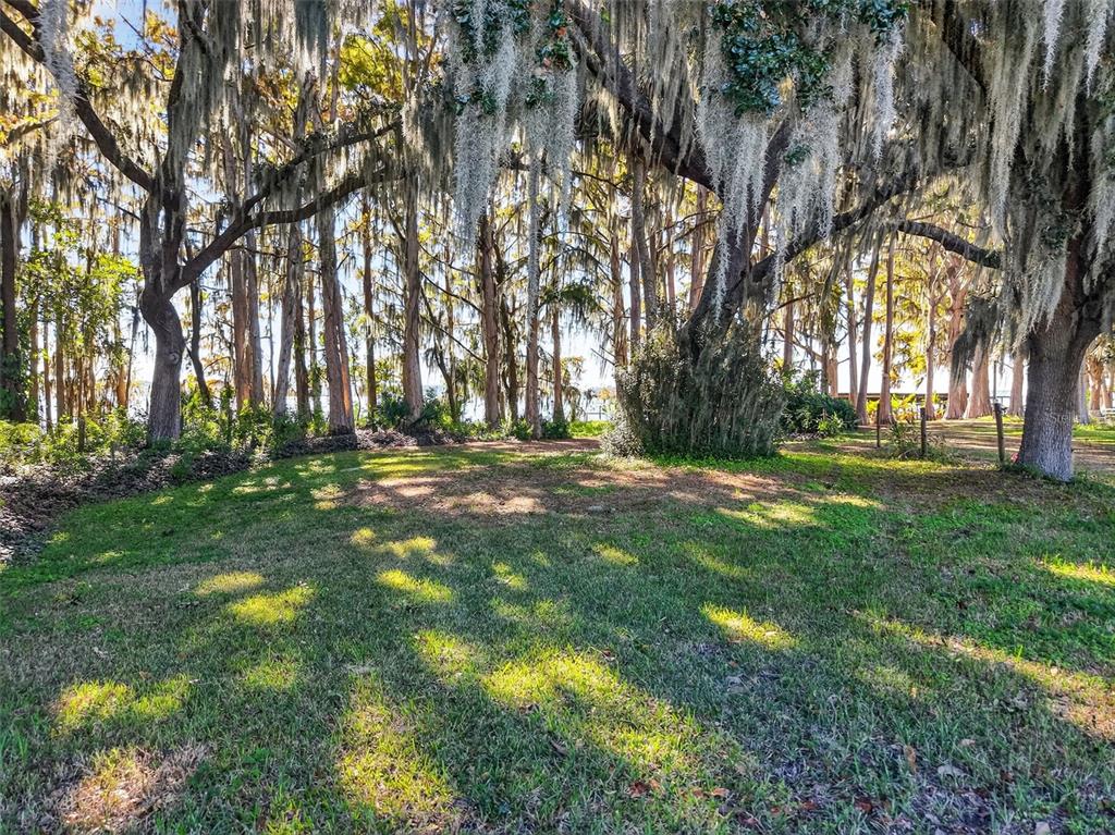 A grassy yard with large trees draped in Spanish moss overlooks a body of water — 11911 LANE PARK ROAD, TAVARES, FL