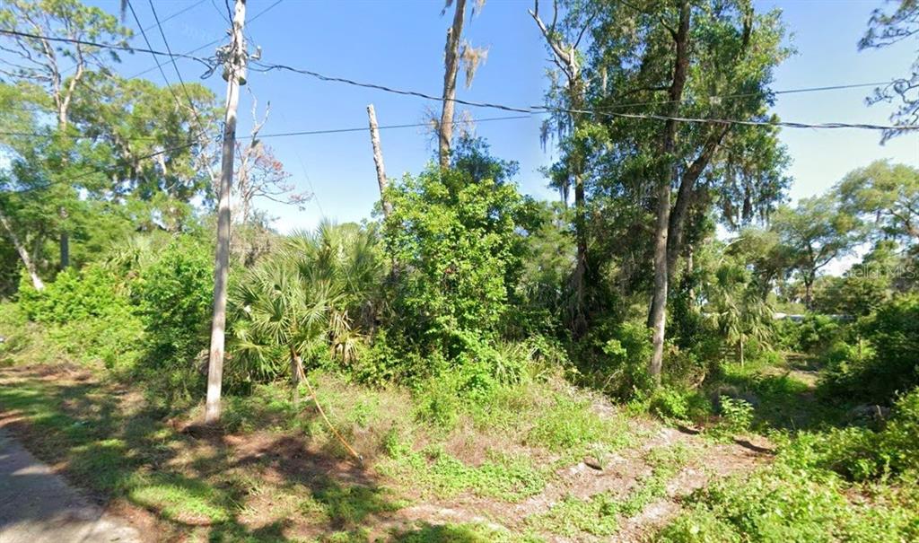 A wooded, undeveloped residential lot features dense vegetation, several tall trees, and a utility pole — 4523 E HARVARD DRIVE, HERNANDO, FL