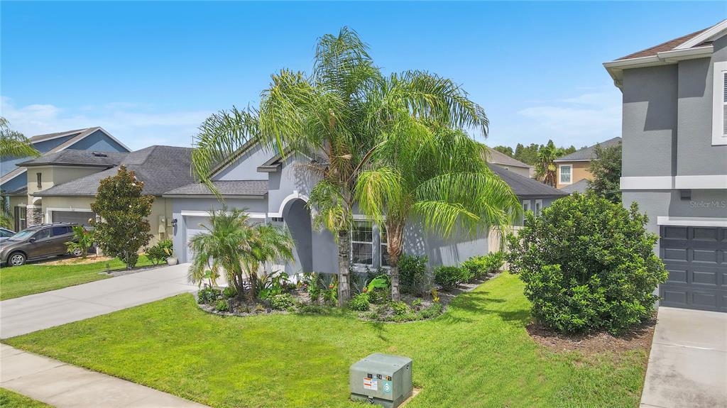 A single-story gray house with a palm tree in the front yard and a driveway — 1571 MONTGOMERY BELL RD, WESLEY CHAPEL, FL