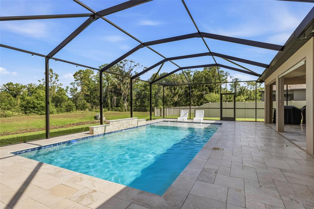 A screened-in swimming pool with a stone water feature and a paved patio area — 12000 NOUVEAU AVENUE, SPRING HILL, FL