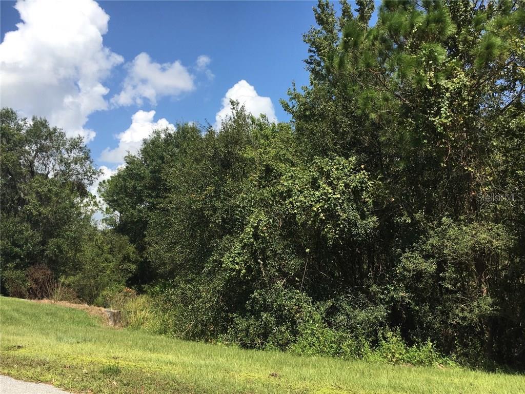 41025 E 20TH PLACE, MYAKKA CITY, FL — photo 2 of 9