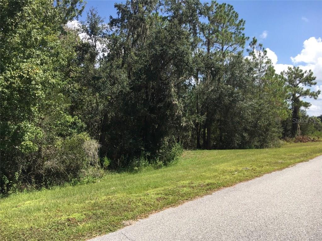41025 E 20TH PLACE, MYAKKA CITY, FL — photo 3 of 9