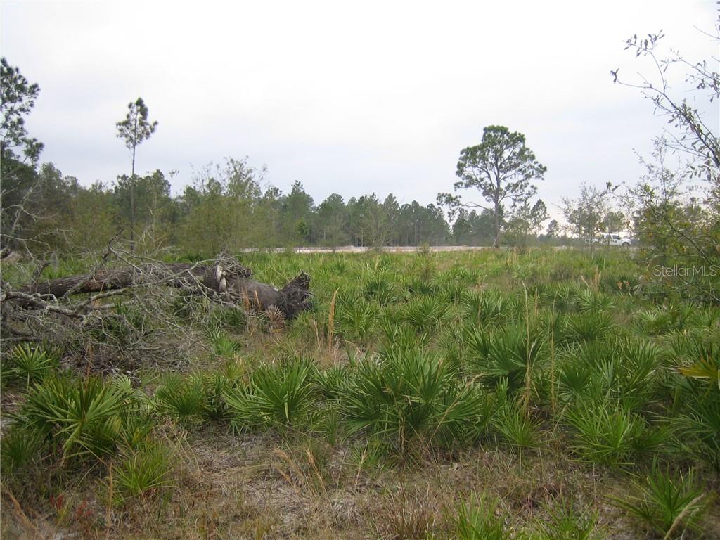 41025 E 20TH PLACE, MYAKKA CITY, FL — photo 4 of 9
