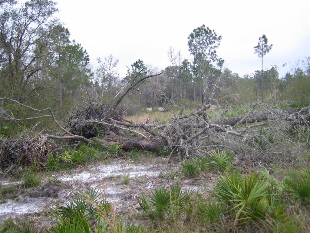 41025 E 20TH PLACE, MYAKKA CITY, FL — photo 5 of 9