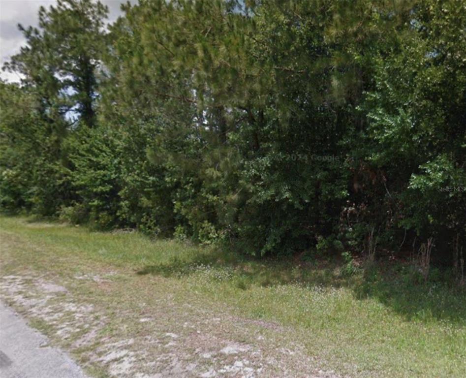 A dense line of trees and shrubs borders a grassy area next to a road — 8810 SUN N LAKE BOULEVARD, SEBRING, FL