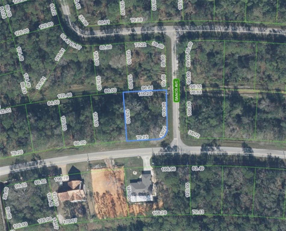 This is a satellite map showing a highlighted vacant residential lot — 8810 SUN N LAKE BOULEVARD, SEBRING, FL