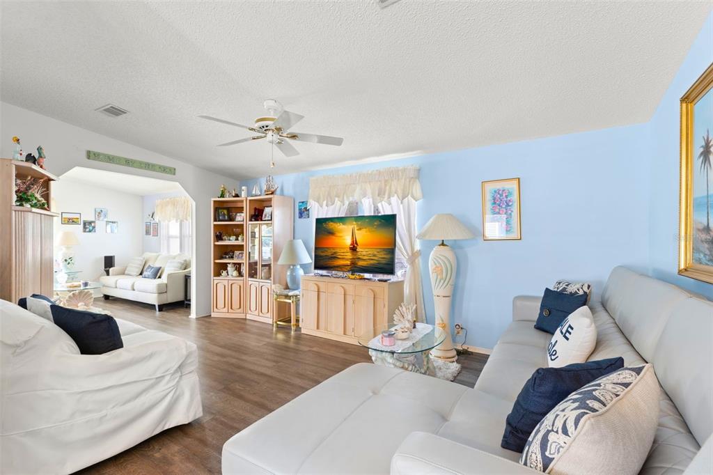 A living room with light blue walls, wood-look flooring, a white sofa, and a television — 556 MOUNT OAK AVENUE NE UNIT 738, ST PETERSBURG, FL