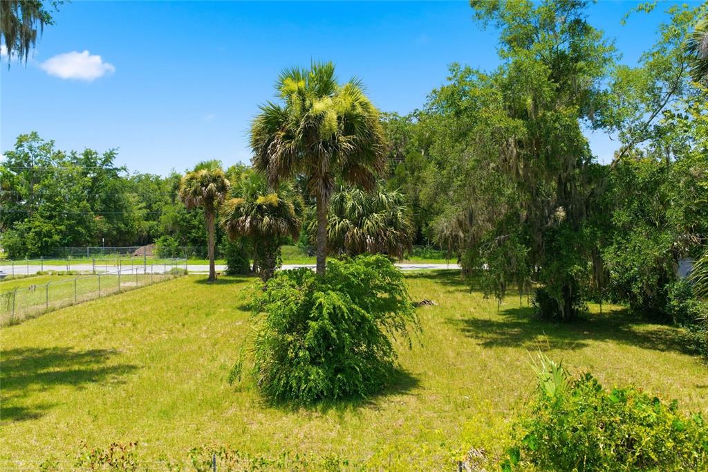 A grassy vacant lot features several palm trees and mature trees under a blue sky — 219 S 10TH STREET, PALATKA, FL