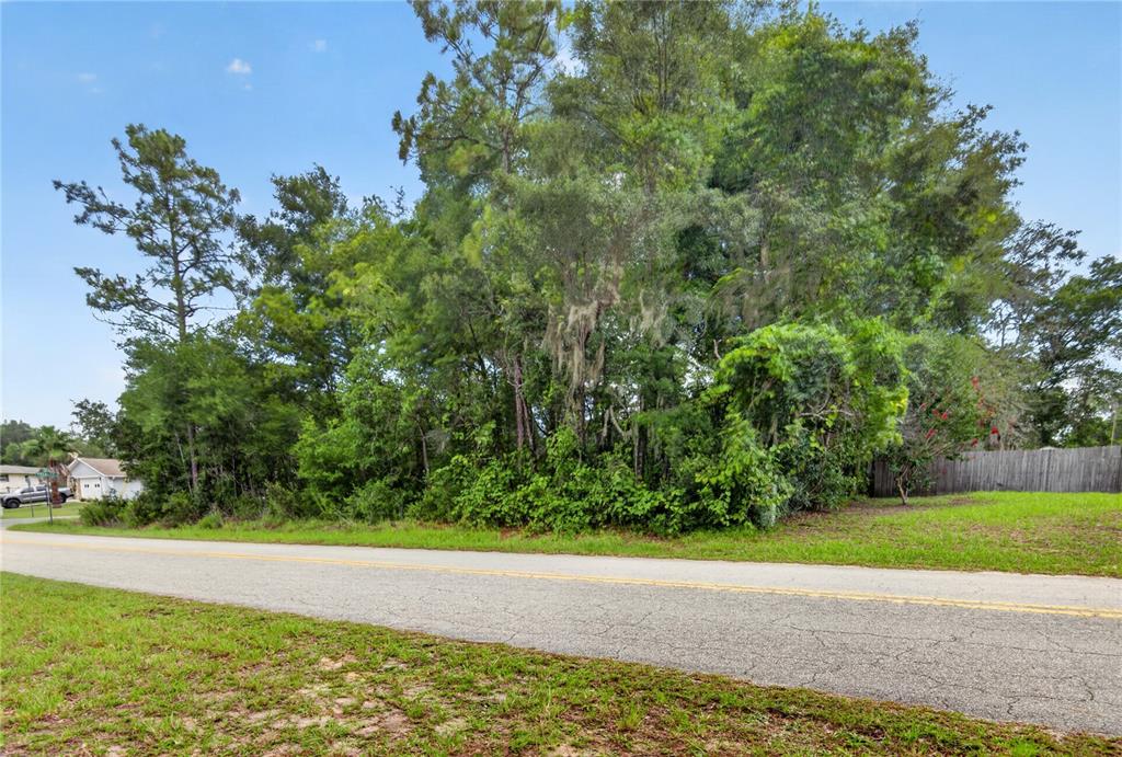 A paved road runs in front of a densely wooded, undeveloped residential lot — 5056 E PRENTICE LANE, INVERNESS, FL