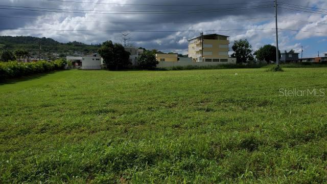 A large, grassy, undeveloped lot with trees and buildings in the background under a cloudy sky — PR-174 SAN AGUSTIN, BAYAMON, PR