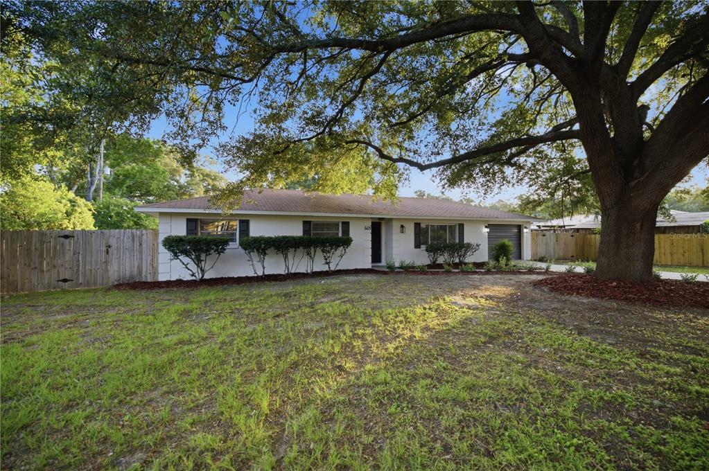 A single-story house with a white exterior, a garage, and a large tree in front — 5611 NE 5TH PLACE, OCALA, FL